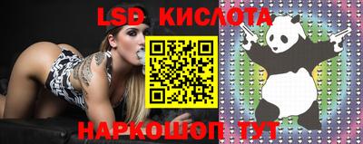 apvp Славгород
