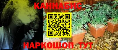 apvp Славгород