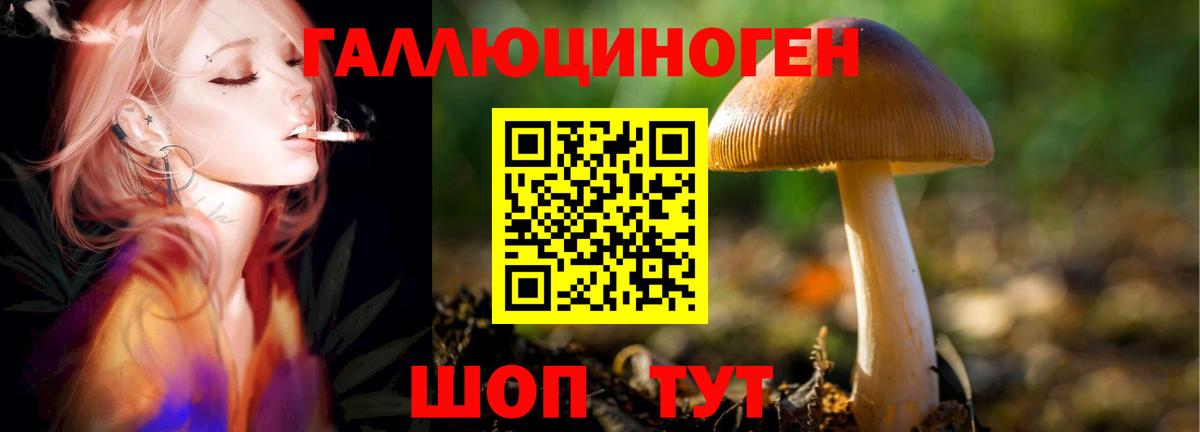 Батайск  Галлюциногенные грибы мицелий  Вход с VPN  Галлюциногенные грибы Psilocybine cubensis 
